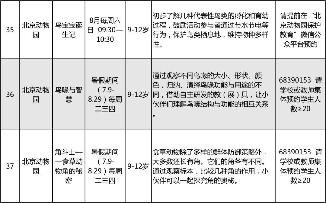 2024北京中小学暑假活动27