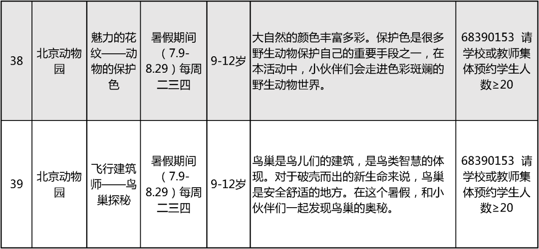 2024北京中小学暑假活动28