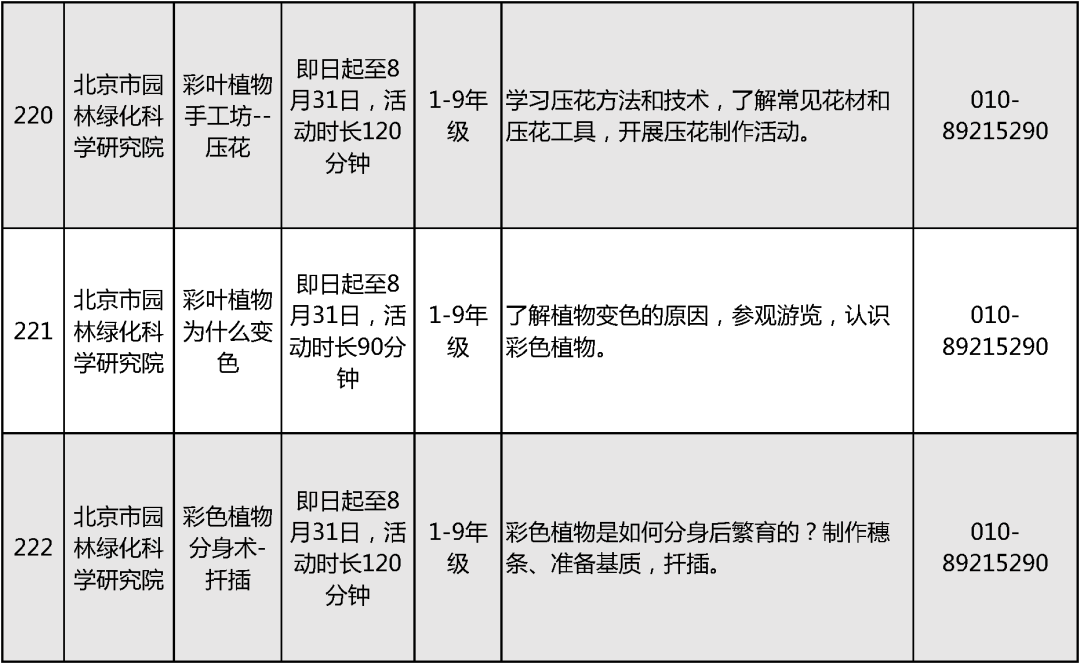 2024北京中小学暑假活动