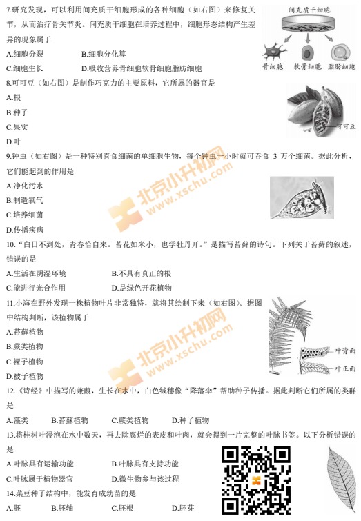 2024-2025学年第一学期海淀初一期末生物试卷