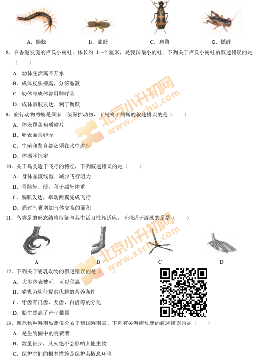 2024-2025学年第一学期海淀初二期末生物试卷