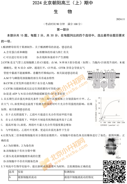 2024-2025学年第一学期朝阳高三期中生物试卷