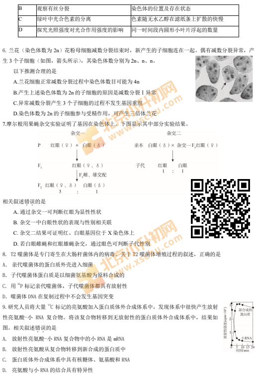 2024-2025学年第一学期朝阳高三期中生物试卷