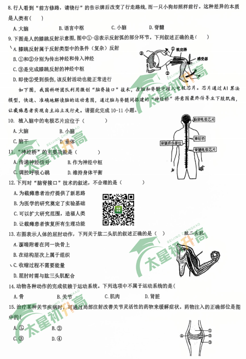 2025-2026学年第一学期交大附中初二期中生物试题