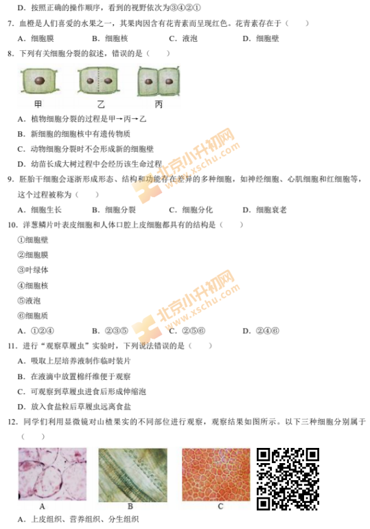 2024-2025学年第一学期朝阳初一期末生物试卷