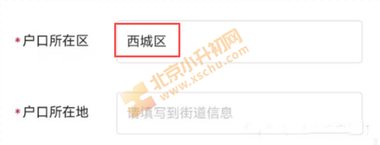 人大附中早培报名