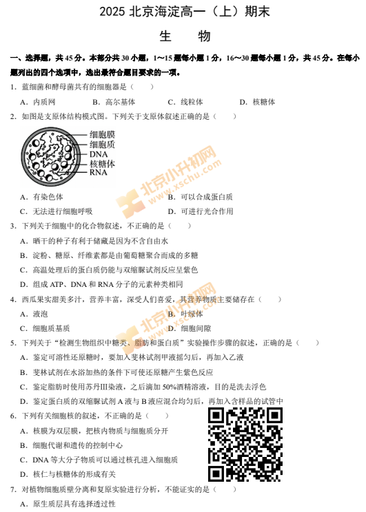 2024-2025学年第一学期海淀高一期末生物试卷