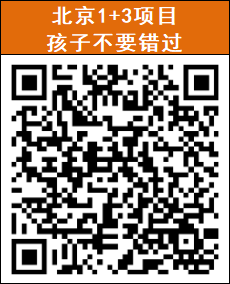 北京1+3项目咨询