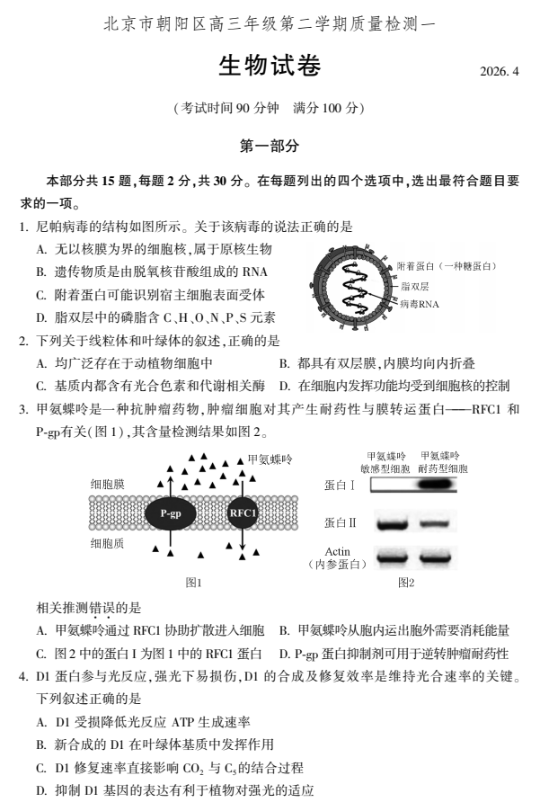2026北京朝阳高三一模生物试卷/试题
