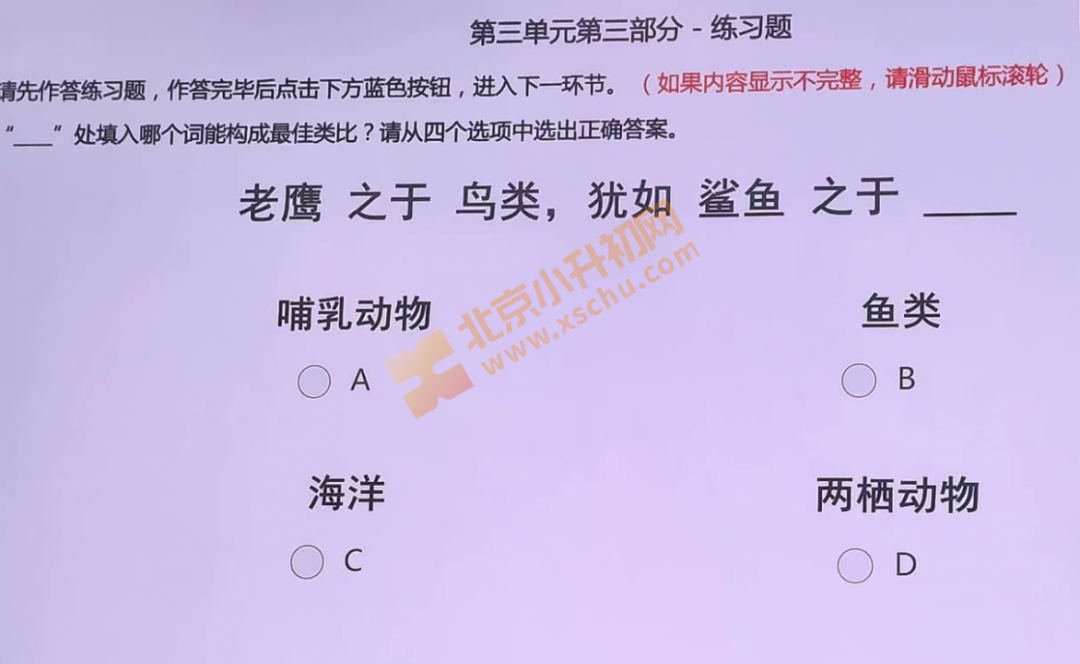 2026北京八中八少八素初筛内容 2026北京八中八少八素初筛内容