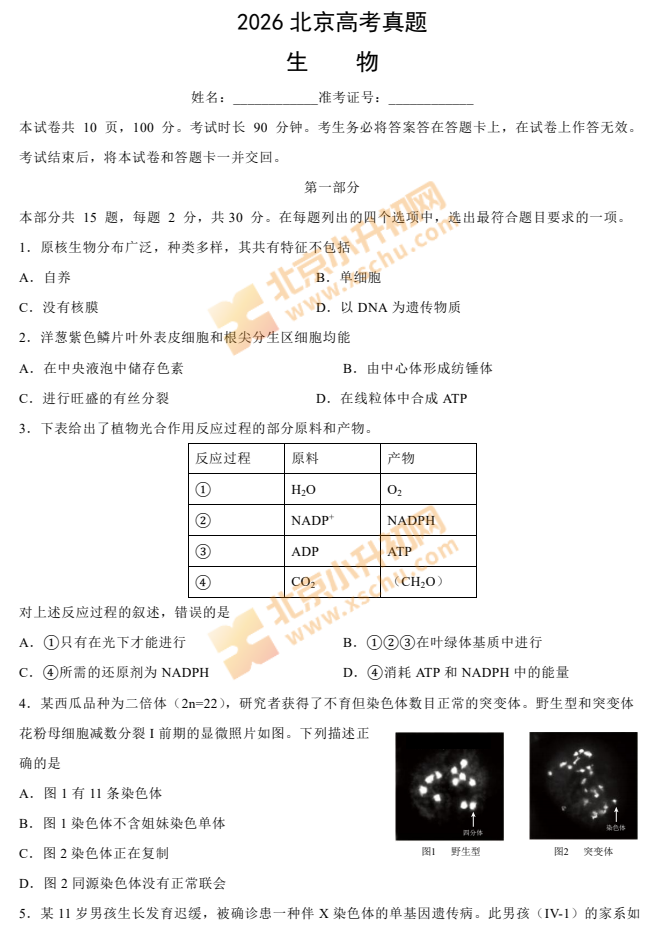 2026北京高考生物试卷