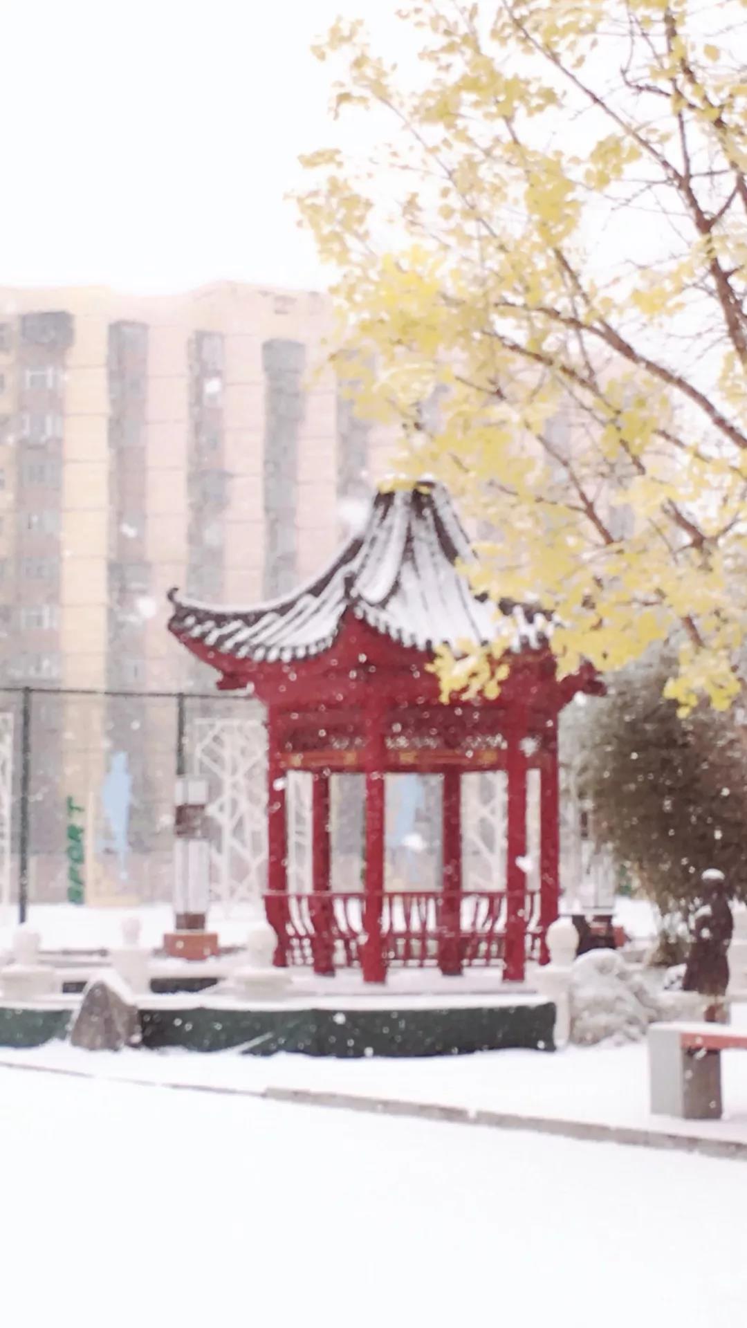 北京实验学校（海淀）雪景图片2