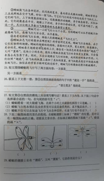 2018-2019学年第一学期东城小学四年级语文期末试题4