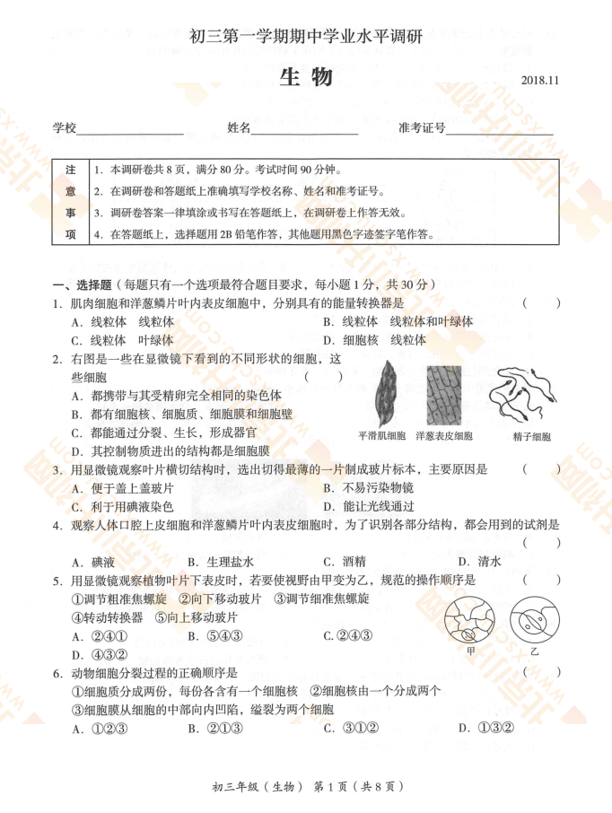 海淀初三2018-2019学年第一学期期中考试生物试题1