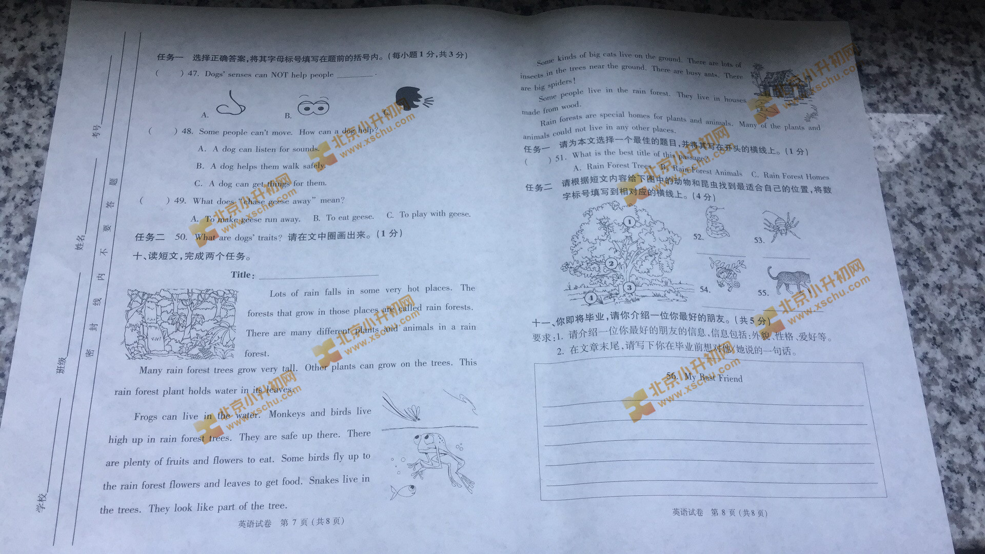 2019朝阳小学六年级英语毕业考试试题4
